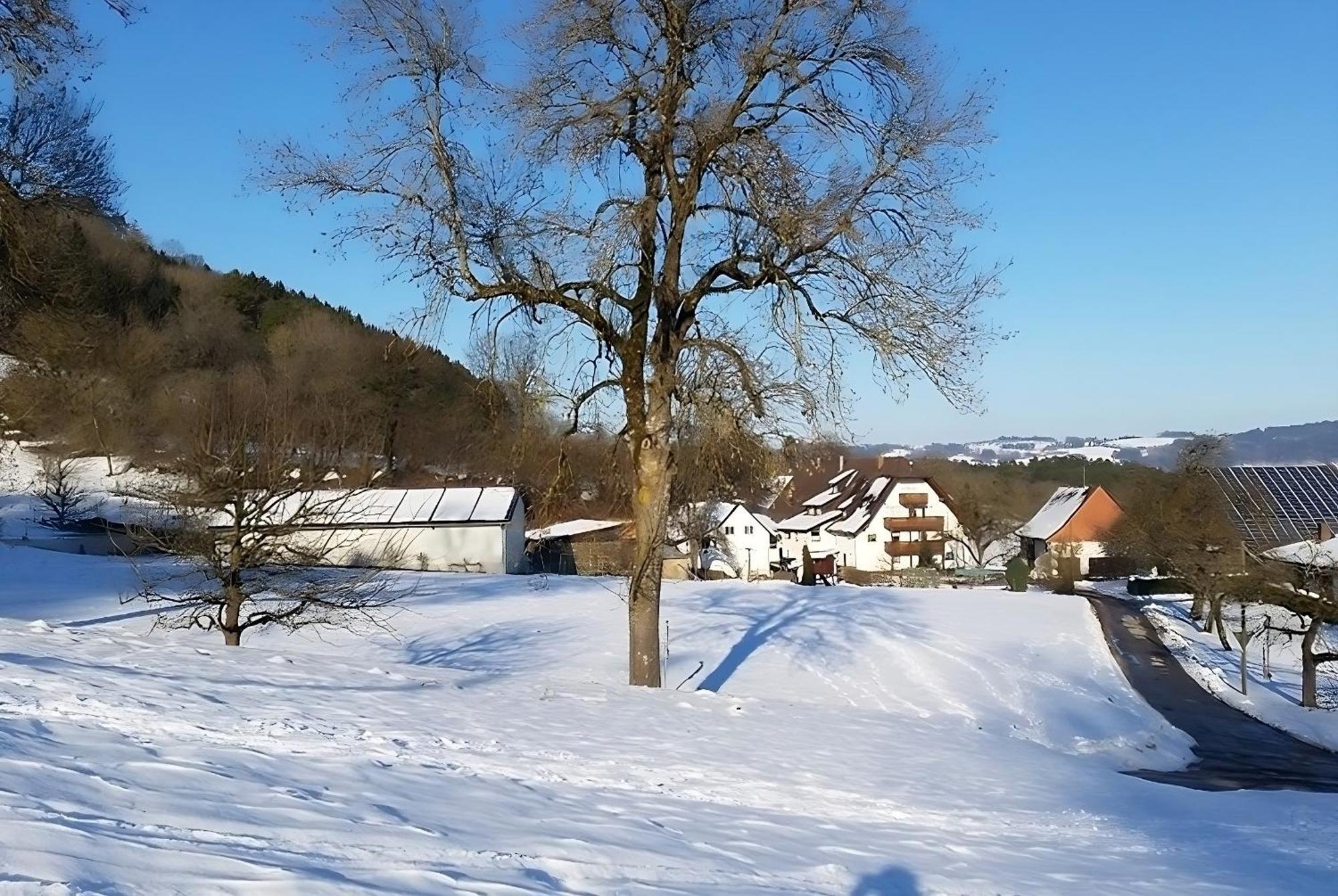 Mayer Burghoefe Owingen 외부 사진